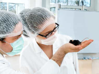 gene therapy-like approach