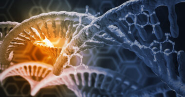 cohesins and the X chromosome