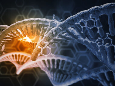 cohesins and the X chromosome