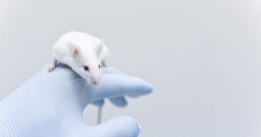 antidepressant fluoxetine increases cells expressing mecp2 in mouse model/rettsyndromenews.com/researchers use mouse version of MECP2