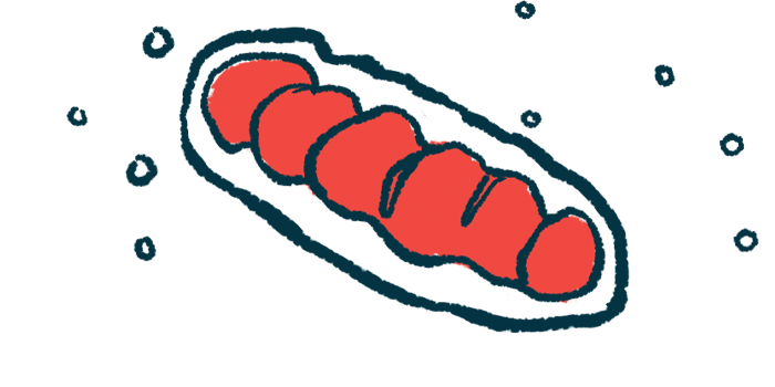 mitochondrial DNA | Rett Syndrome News | illustration of mitochondria