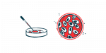 Omega-3-Fettsäuren |  Rett-Syndrom Nachrichten |  Illustration von Zellen in einer Petrischale