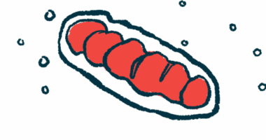 An illustration of a mitochondria, which has two layers, an outer membrane and a highly folded inner membrane.