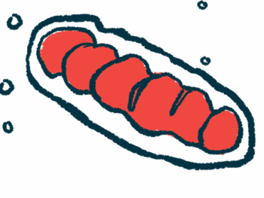 An illustration of a mitochondria, which has two layers, an outer membrane and a highly folded inner membrane.