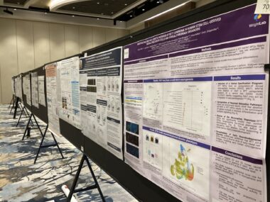 Scientific posters are displayed in a conference room.